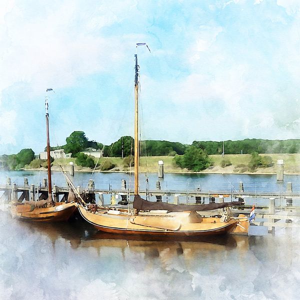 Aquarelldruck eines Seeländischen Barsches von Danny de Klerk