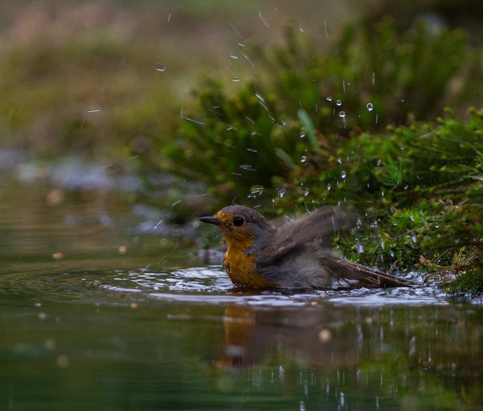 Relaxing by Eric van Schaijk