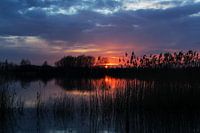 Zon ondergang aan een water kant.