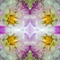 Gefrorener Kosmos lila