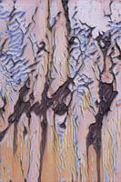 The beauty of decay 3