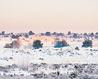 In wit gehulde Veluwe