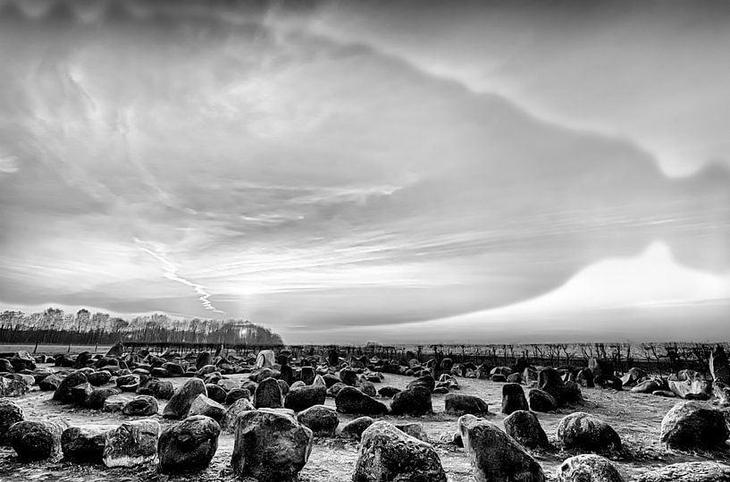 Girl of Yde (Black and White) by Andrea de Vries