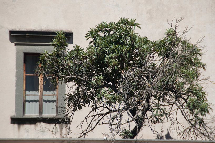 Op een Italiaanse binnenplaats by Marco de Groot