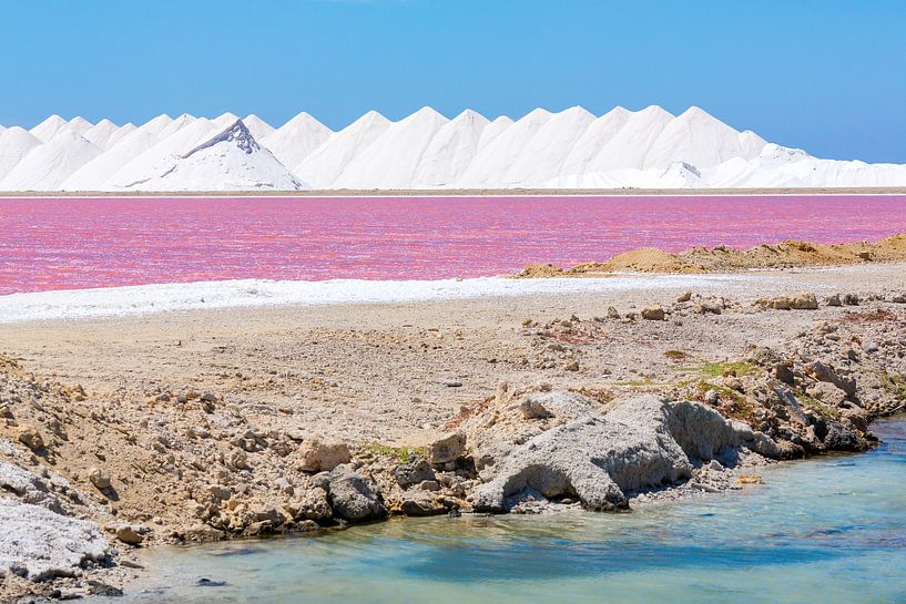 Landschaft mit Bergen von weissem Salz und rosa Salzsee auf Bonaire von Ben Schonewille