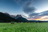 Bayerische Sommerwiesen mit Bergblick in Garmisch-Prtenkirchen