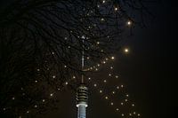 World's biggest Christmas tree shines over Utrecht again