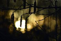 Den Sonnenaufgang einfangen