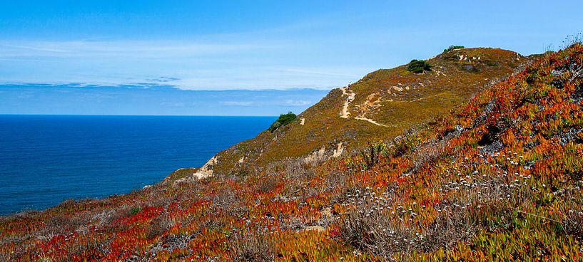 Collines près de praia da Ursa par Nynke Altenburg
