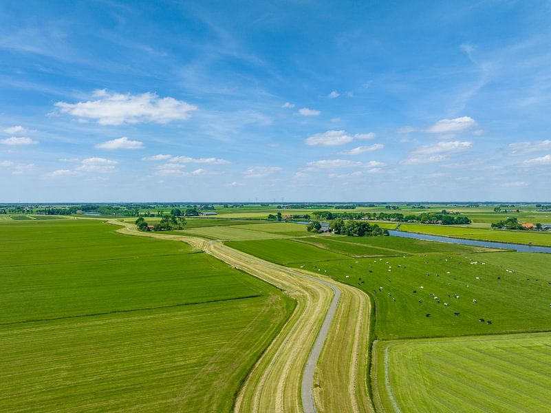 Agricultural landscape in the IJsseldelta during springtime by Sjoerd van der Wal Photography