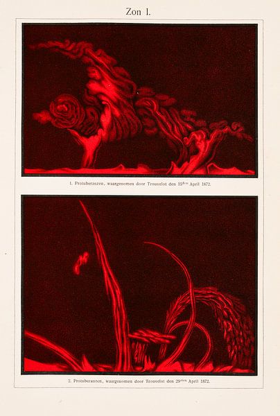 Antikes Bild von Sonneneruptionen von Studio Wunderkammer