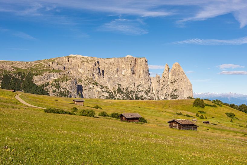 Schlern (Sciliar) in South Tyrol by Michael Valjak