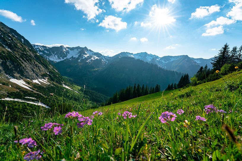 Flowery view in Kleinwalsertal by Leo Schindzielorz