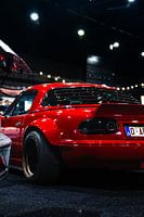 La révolution sous la lumière