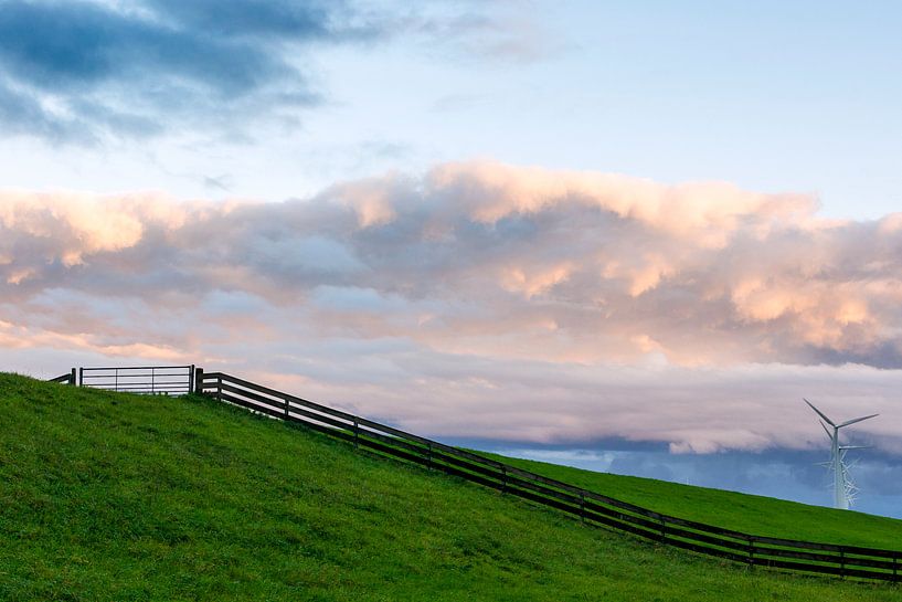 Polderlandschaft mit Zaun und Windkraftanlagen von Haarms