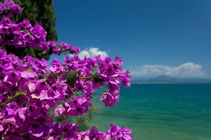 Gardasee von Jaco Verheul