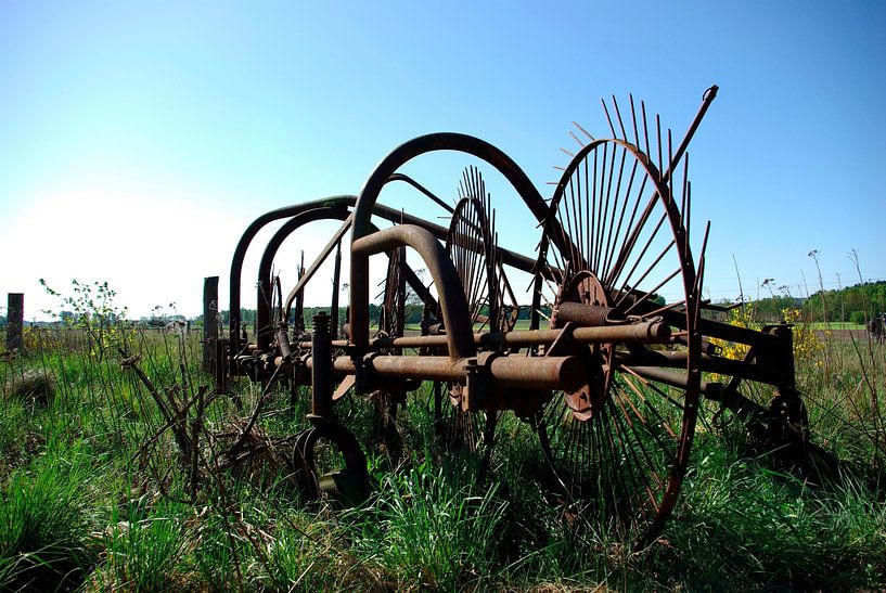 The old tedder by Norbert Sülzner