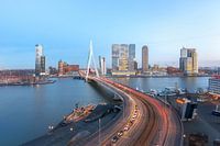 Le pont Erasmus avec l'horizon de Rotterdam