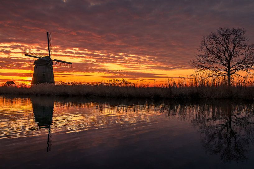 Mühle mit Baum von peterheinspictures