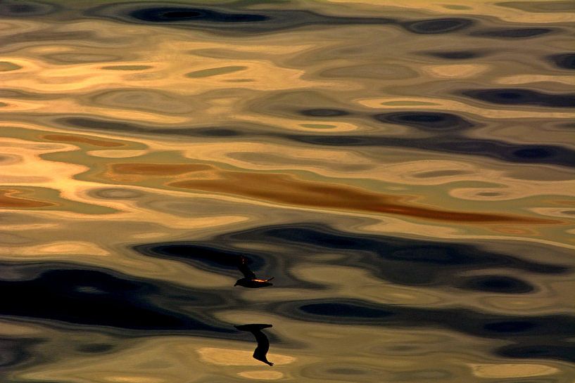 ACROBATES 4 by Miroslav Ptacek