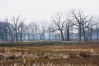 Heïig bij Oudemolen