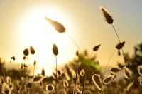 Coucher de soleil portugais