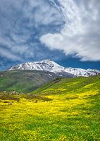 Goldener Schleier von Sabalan