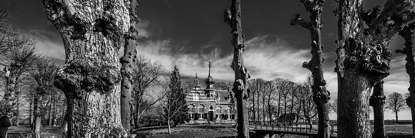 Zicht op Cornjum by Harrie Muis