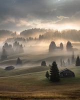 Les premiers rayons de soleil