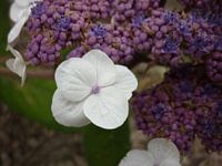 Kijk mij eens mooi zijn