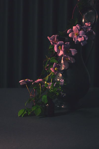 Pink Glory by met Jessica / Fotostudio Drachten