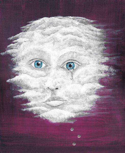 Die Regenwolke von Bianca Wisseloo