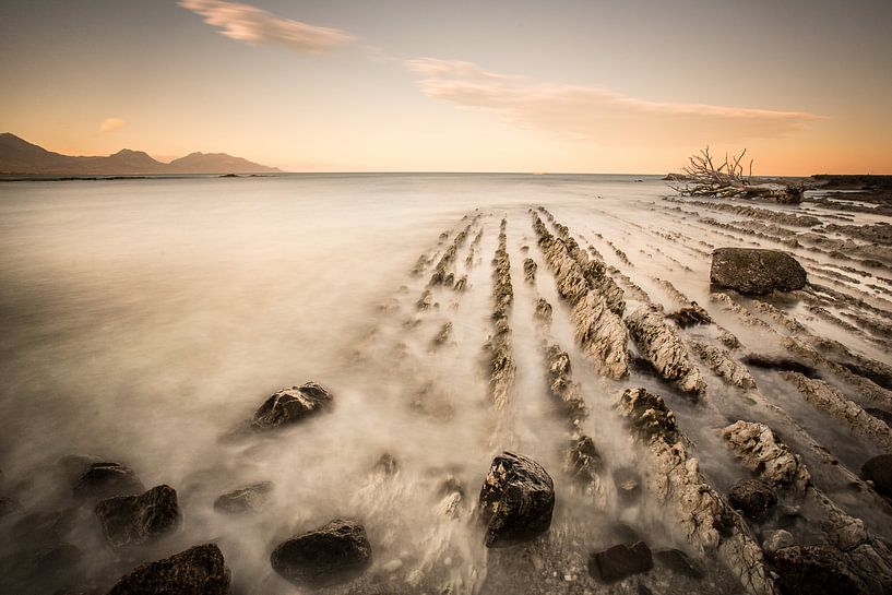 Coastal New Zealand by Remco Siero