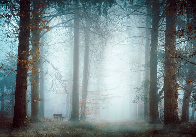 So einsam von Kees van Dongen