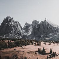 Uitzicht op de Seiser Alm