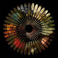 Nature morte de fleur en fleur