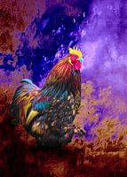 Le roi des couleurs avec sa couronne d'or !