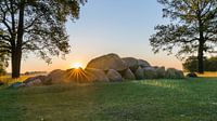 Dolmen (D14) in Drenthe
