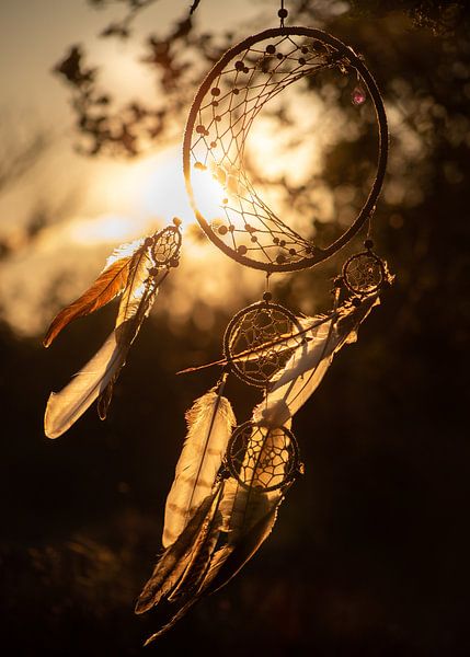 Dreamcatcher in the sunset by Roos Zanderink