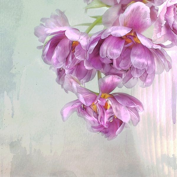 Tulips Story #7 von Lizzy Pe