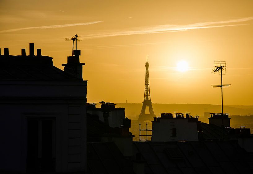 Aufrecht stehen von Emil Golshani