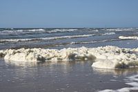 Nordseestrand mit Meeresschaum.