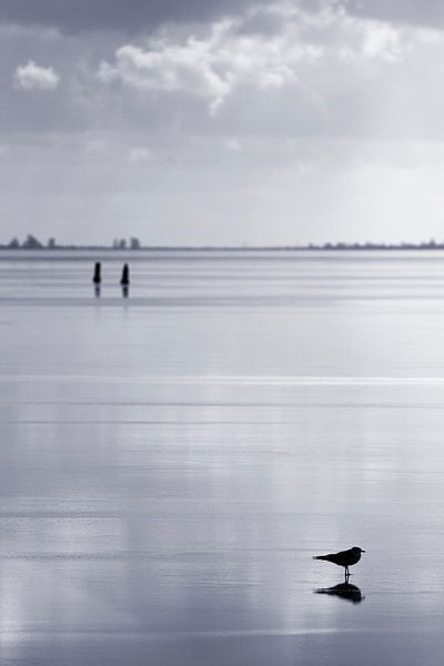Crème glacée par Rob van der Teen