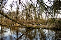 Takkenwerk, Swalmen, Roermond