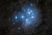 Messier 45, oder die Plejaden