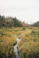 Norwegen Preikestolen