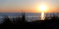 Untergehende Sonne hinter den Dünen