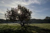 Durch die Dunkelheit bricht das Licht.