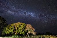 Galaxie Pantanal 