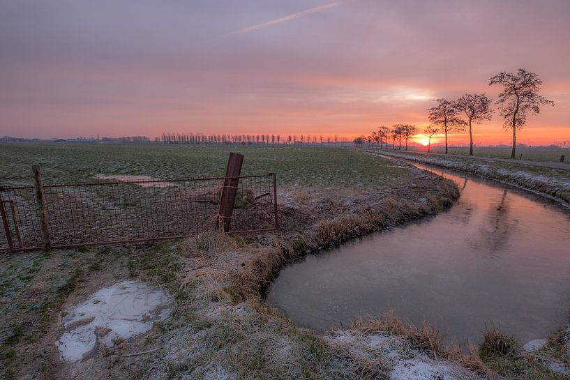 Schapen in de verte von Moetwil en van Dijk - Fotografie
